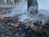 Paliło się: dom w Wyszkowie i las w Gminie Zabrodzie (FOTO) - Wydarzenia - zdjęcie 2