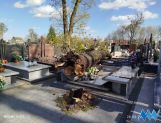 Silnie wieje. Duże zniszczenia na cmentarzu parafialnym (FOTO) - Wydarzenia - zdjęcie 2