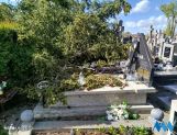 Silnie wieje. Duże zniszczenia na cmentarzu parafialnym (FOTO) - Wydarzenia - zdjęcie 5