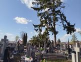 Silnie wieje. Duże zniszczenia na cmentarzu parafialnym (FOTO) - Wydarzenia - zdjęcie 7