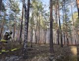Pożar lasu w Fideście (FOTO) - Wydarzenia - zdjęcie 2
