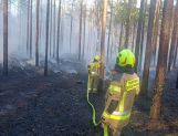 Pożar lasu w Fideście (FOTO) - Wydarzenia - zdjęcie 4