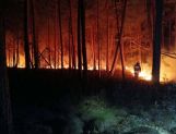 Wyszkowscy strażacy biorą udział w gaszeniu pożaru lasów na Lubelszczyźnie (FOTO) [AKTUALIZACJA] - Wydarzenia - zdjęcie 7