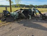 Wypadek w Przykorach. Auto zderzyło się z łosiem (FOTO) [AKTUALIZACJA] - Wydarzenia - zdjęcie 3
