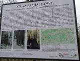 Był autorytetem moralnym i duchowym – 45 lat temu zmarł kardynał Stefan Wyszyński (FOTO) - Wydarzenia - zdjęcie 9