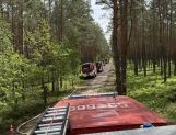 Strażacy z powiatu wyszkowskiego w akcji gaszenia pożaru w pod Wołominem (FOTO) - Wydarzenia - zdjęcie 10