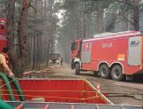 Strażacy z powiatu wyszkowskiego w akcji gaszenia pożaru w pod Wołominem (FOTO) - Wydarzenia - zdjęcie 11