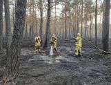 Strażacy z powiatu wyszkowskiego w akcji gaszenia pożaru w pod Wołominem (FOTO) - Wydarzenia - zdjęcie 21