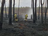 Strażacy z powiatu wyszkowskiego w akcji gaszenia pożaru w pod Wołominem (FOTO) - Wydarzenia - zdjęcie 22