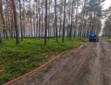 Strażacy z powiatu wyszkowskiego w akcji gaszenia pożaru w pod Wołominem (FOTO) - Wydarzenia - zdjęcie 26