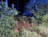 Na łuku auto wypadło z drogi (FOTO) - Wydarzenia - zdjęcie 4