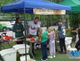 Rodzinny i charytatywny piknik w Siódemce (FOTO) - Wydarzenia - zdjęcie 7