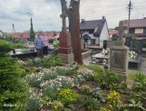Seniorzy zadbali o opuszczone groby (FOTO) - Od czytelników - zdjęcie 1