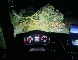 Nocna nawałnica. Połamane drzewa i brak prądu - Wydarzenia - zdjęcie 3