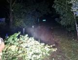 Nocna nawałnica. Połamane drzewa i brak prądu - Wydarzenia - zdjęcie 6