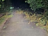Nocna nawałnica. Połamane drzewa i brak prądu - Wydarzenia - zdjęcie 7