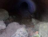 Czasami przychodzi chęć, żeby przenieść się w czasie (FOTO) - Od czytelników - zdjęcie 10