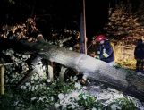 Nocna nawałnica. Połamane drzewa i brak prądu - Wydarzenia - zdjęcie 10