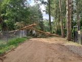 Nocna nawałnica. Połamane drzewa i brak prądu - Wydarzenia - zdjęcie 11