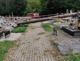 Nocna nawałnica. Połamane drzewa i brak prądu - Wydarzenia - zdjęcie 19