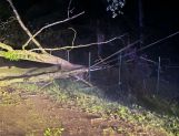 Nocna nawałnica. Połamane drzewa i brak prądu - Wydarzenia - zdjęcie 22