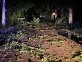 Nocna nawałnica. Połamane drzewa i brak prądu - Wydarzenia - zdjęcie 24