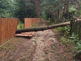 Nocna nawałnica. Połamane drzewa i brak prądu - Wydarzenia - zdjęcie 27