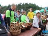 DŁUGOSIODŁO: Tym razem naprawdę Wielkie Grzybobranie (FOTO, WIDEO) - Powiat - zdjęcie 1