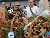 DŁUGOSIODŁO: Tym razem naprawdę Wielkie Grzybobranie (FOTO, WIDEO) - Powiat - zdjęcie 5