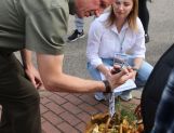 DŁUGOSIODŁO: Tym razem naprawdę Wielkie Grzybobranie (FOTO, WIDEO) - Powiat - zdjęcie 22