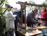DŁUGOSIODŁO: Tym razem naprawdę Wielkie Grzybobranie (FOTO, WIDEO) - Powiat - zdjęcie 36
