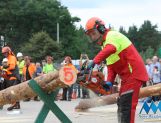 DŁUGOSIODŁO: Tym razem naprawdę Wielkie Grzybobranie (FOTO, WIDEO) - Powiat - zdjęcie 42