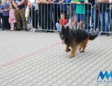 DŁUGOSIODŁO: Tym razem naprawdę Wielkie Grzybobranie (FOTO, WIDEO) - Powiat - zdjęcie 43