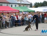 DŁUGOSIODŁO: Tym razem naprawdę Wielkie Grzybobranie (FOTO, WIDEO) - Powiat - zdjęcie 49