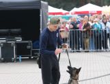 DŁUGOSIODŁO: Tym razem naprawdę Wielkie Grzybobranie (FOTO, WIDEO) - Powiat - zdjęcie 51