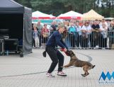 DŁUGOSIODŁO: Tym razem naprawdę Wielkie Grzybobranie (FOTO, WIDEO) - Powiat - zdjęcie 52
