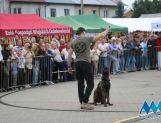 DŁUGOSIODŁO: Tym razem naprawdę Wielkie Grzybobranie (FOTO, WIDEO) - Powiat - zdjęcie 54