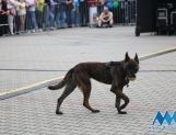 DŁUGOSIODŁO: Tym razem naprawdę Wielkie Grzybobranie (FOTO, WIDEO) - Powiat - zdjęcie 58