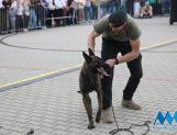 DŁUGOSIODŁO: Tym razem naprawdę Wielkie Grzybobranie (FOTO, WIDEO) - Powiat - zdjęcie 61