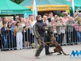 DŁUGOSIODŁO: Tym razem naprawdę Wielkie Grzybobranie (FOTO, WIDEO) - Powiat - zdjęcie 64