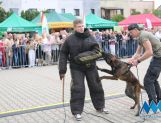 DŁUGOSIODŁO: Tym razem naprawdę Wielkie Grzybobranie (FOTO, WIDEO) - Powiat - zdjęcie 65