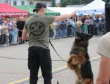 DŁUGOSIODŁO: Tym razem naprawdę Wielkie Grzybobranie (FOTO, WIDEO) - Powiat - zdjęcie 66