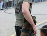 DŁUGOSIODŁO: Tym razem naprawdę Wielkie Grzybobranie (FOTO, WIDEO) - Powiat - zdjęcie 69