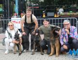 DŁUGOSIODŁO: Tym razem naprawdę Wielkie Grzybobranie (FOTO, WIDEO) - Powiat - zdjęcie 70