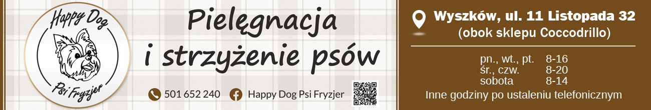 Baner desktopowy